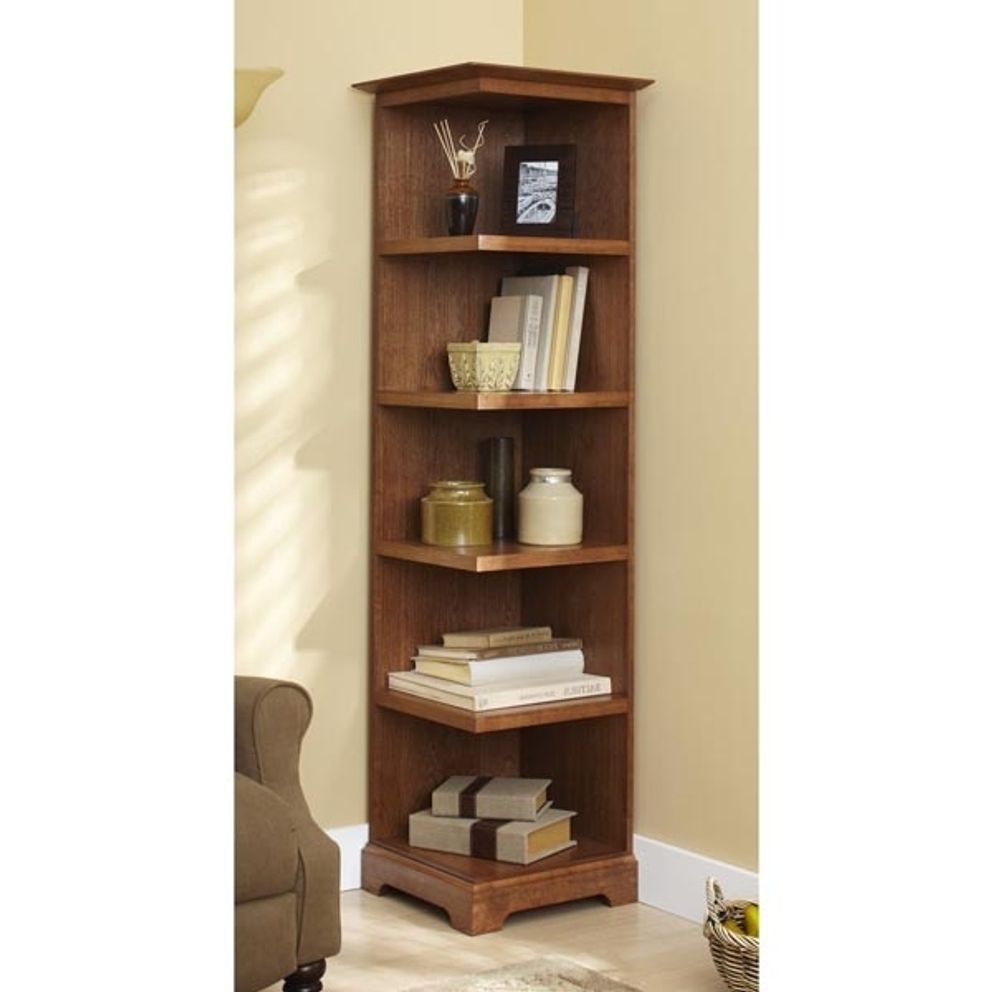 15 Ideas of Corner Bookcases